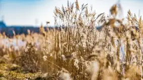 Przedwiośnie w Ełku, marzec 2022 r. - zdjęcie 52