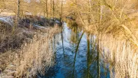 Mazurska zima z lotu ptaka, luty 2022 - zdjęcie 10