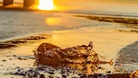 Zachód słońca nad jeziorem Krzywa Kuta - zdjęcie 12