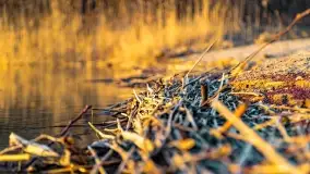 Zachód słońca nad jeziorem Tajty w Wilkasy Zalesie - zdjęcie 28