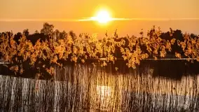 Zachód słońca nad jeziorem Tajty w Wilkasy Zalesie - zdjęcie 10