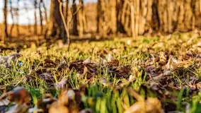 Zachód słońca nad jeziorem Mój - zdjęcie 35