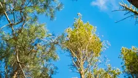 Mazury - inspiracja fotograficzna o każdej porze roku - zdjęcie 19