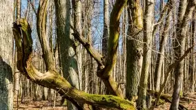 Mazury - inspiracja fotograficzna o każdej porze roku - zdjęcie 20