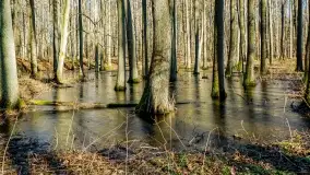 Mazury - inspiracja fotograficzna o każdej porze roku - zdjęcie 32