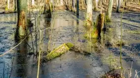 Mazury - inspiracja fotograficzna o każdej porze roku - zdjęcie 25