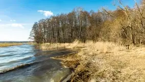 Wietrzny Dargin na początku wiosny - zdjęcie 11