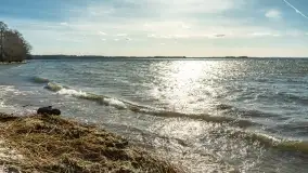 Wietrzny Dargin na początku wiosny - zdjęcie 7