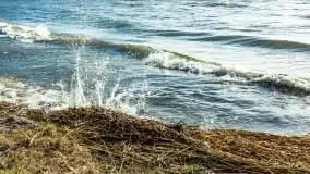 Wietrzny Dargin na początku wiosny - zdjęcie 9