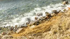 Wietrzny Dargin na początku wiosny - zdjęcie 48