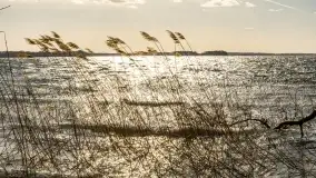 Wietrzny Dargin na początku wiosny - zdjęcie 20