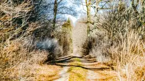 Mazury na niewykorzystanych ujęciach, styczeń - marzec 2022 - zdjęcie 40