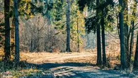 Mazury na niewykorzystanych ujęciach, styczeń - marzec 2022 - zdjęcie 35