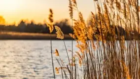 Zachód słońca nad jeziorem Kisajno, Zimny Kąt - zdjęcie 17