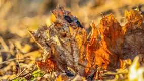 Zachód słońca nad jeziorem Kisajno, Zimny Kąt - zdjęcie 32