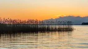 Zachód słońca bez słońca - pole biwakowe, Sun Bila Dargin - zdjęcie 17