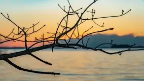 Zachód słońca bez słońca - pole biwakowe, Sun Bila Dargin - zdjęcie 23