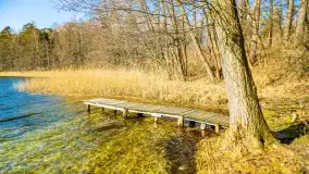 Binduga Zimny Kąt na początku wiosny 2022 - zdjęcie 10