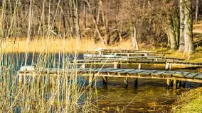 Binduga Zimny Kąt na początku wiosny 2022 - zdjęcie 18