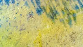 Binduga Zimny Kąt na początku wiosny 2022 - zdjęcie 55