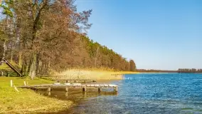 Binduga Zimny Kąt na początku wiosny 2022 - zdjęcie 21