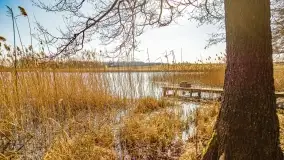 Binduga Zimny Kąt na początku wiosny 2022 - zdjęcie 49