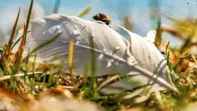 Binduga Zimny Kąt na początku wiosny 2022 - zdjęcie 50