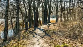 Jezioro Ołów w pierwszych dniach wiosny - zdjęcie 38