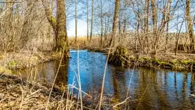 Jezioro Ołów w pierwszych dniach wiosny - zdjęcie 21