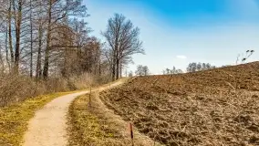 Jezioro Ołów w pierwszych dniach wiosny - zdjęcie 25