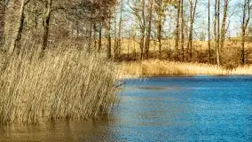 Jezioro Ołów w pierwszych dniach wiosny - zdjęcie 32