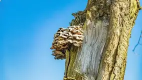 Jezioro Ołów w pierwszych dniach wiosny - zdjęcie 46