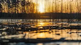 Wschód słońca przy wyspie Wydmińskiej, kwiecień 2022 r. - zdjęcie 6