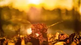 Wschód słońca przy wyspie Wydmińskiej, kwiecień 2022 r. - zdjęcie 42