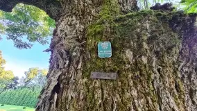 Takie różne tam, z telefonu i... z zeszłego roku 2021 - zdjęcie 25