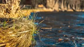 Zachód słońca nad jeziorem Dejguny, marzec 2022 r. - zdjęcie 44