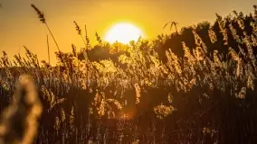 Zachód słońca nad jeziorem Dejguny, marzec 2022 r. - zdjęcie 36