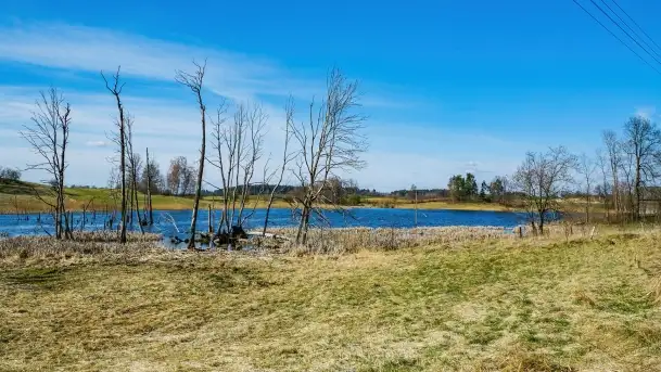 Grodzisko Galindów na Zamkowej Górze - zdjęcie 9