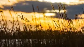 Zachód słońca nad jeziorem Stręgiel - zdjęcie 6