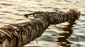 Zachód słońca nad jeziorem Jagodne - zdjęcie 45