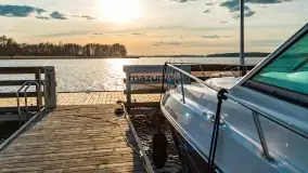 Ognisty Ptak przed kwietniowym zachodem słońca - zdjęcie 17