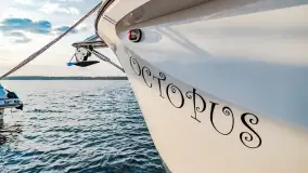 Ognisty Ptak przed kwietniowym zachodem słońca - zdjęcie 11