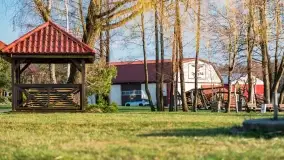 Ognisty Ptak przed kwietniowym zachodem słońca - zdjęcie 18