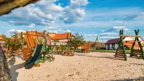 Ognisty Ptak przed kwietniowym zachodem słońca - zdjęcie 3