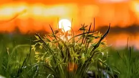 Magia zachodu w Sztynorcie przed Majówką - zdjęcie 35