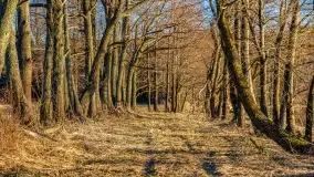 Wieczór i zachód słońca nad Darginem, kwiecień 2022 - zdjęcie 48