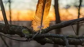 Zachód słońca nad jeziorem Dobskim, kwiecień 2022 - zdjęcie 9