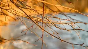 Zachód słońca nad jeziorem Dobskim, kwiecień 2022 - zdjęcie 50