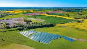 Złote, rzepakowe mazurskie pola z jeziorami w tle - zdjęcie 42