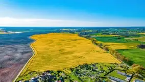 Złote, rzepakowe mazurskie pola z jeziorami w tle - zdjęcie 59